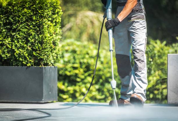 Best Roof Cleaning and Mildew Removal in Mountain Road, VA